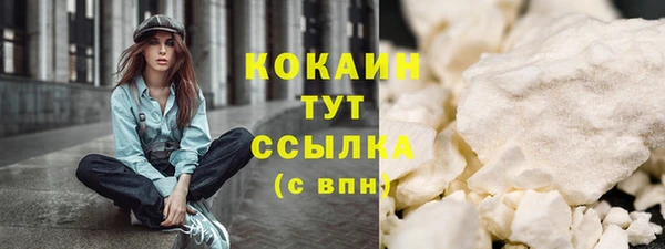 тгк Богородицк