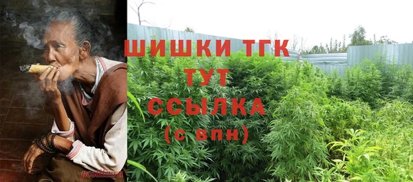 тгк Богородицк