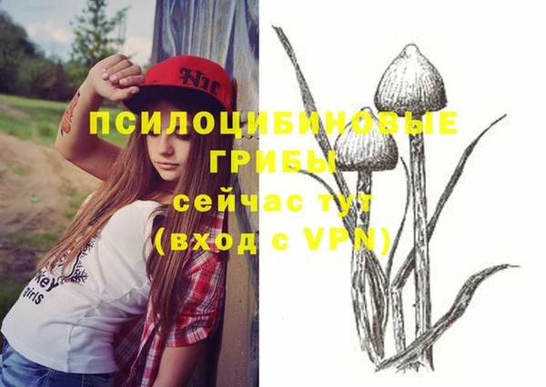 тгк Богородицк