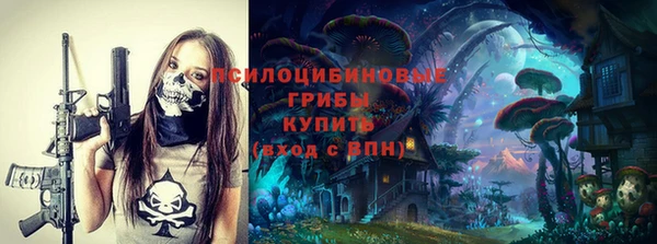 тгк Богородицк