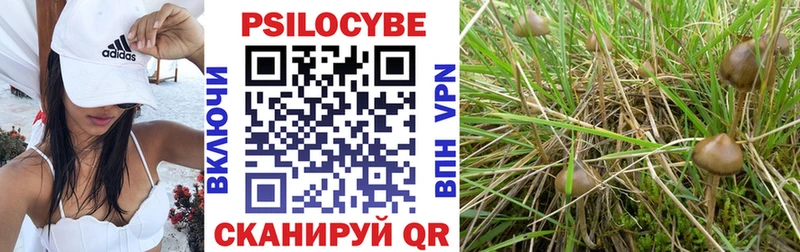 купить   Котельники  Галлюциногенные грибы ЛСД 